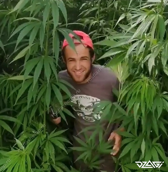 сергей конопля